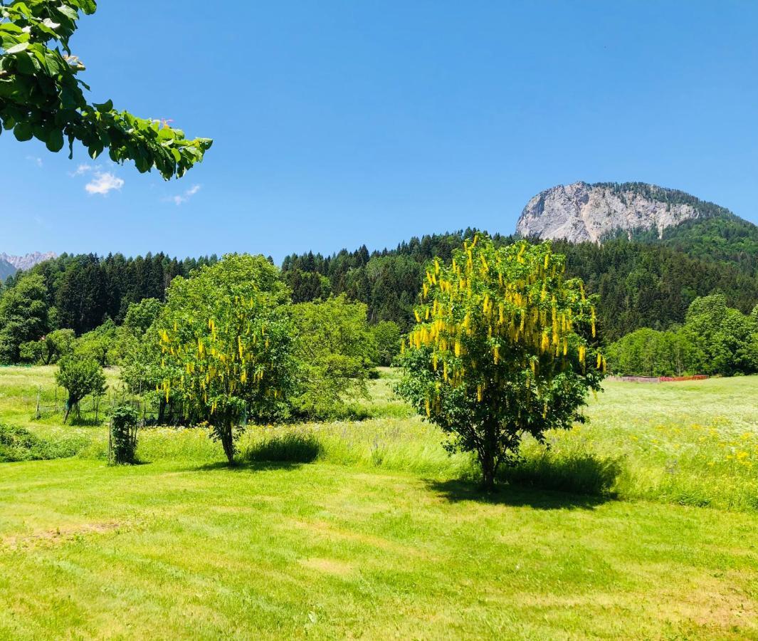 פרום Residence Dolomiti מראה חיצוני תמונה